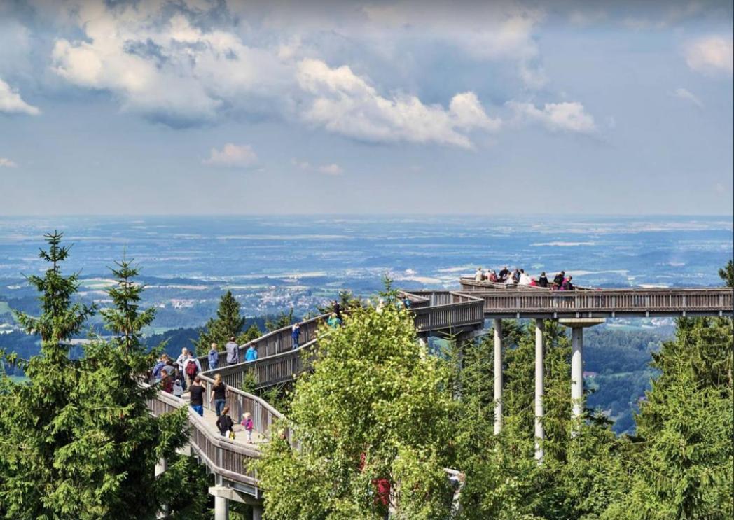 Ferienwohnung Mit Extra Schlafzimmer Und Blick In Den Bayrischen Wald Oberhalb Von Sankt Engelmar سانكت انجلمار المظهر الخارجي الصورة